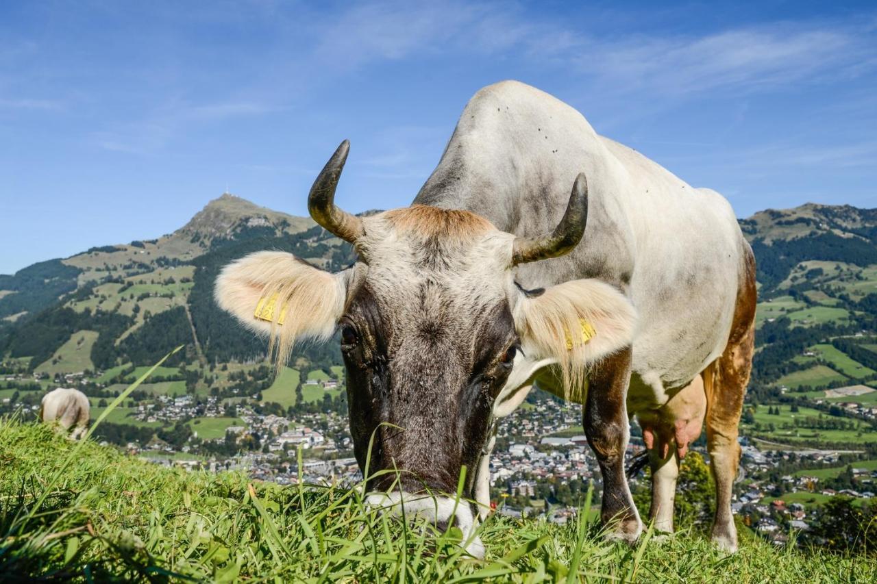 Hotel Zentral ****Superior Kirchberg in Tirol Eksteriør bilde